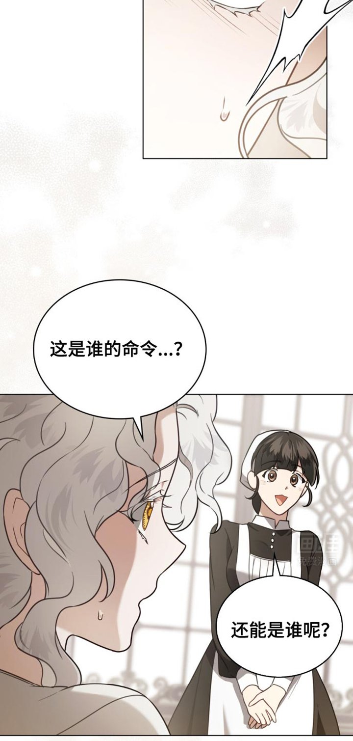第28章：侍女