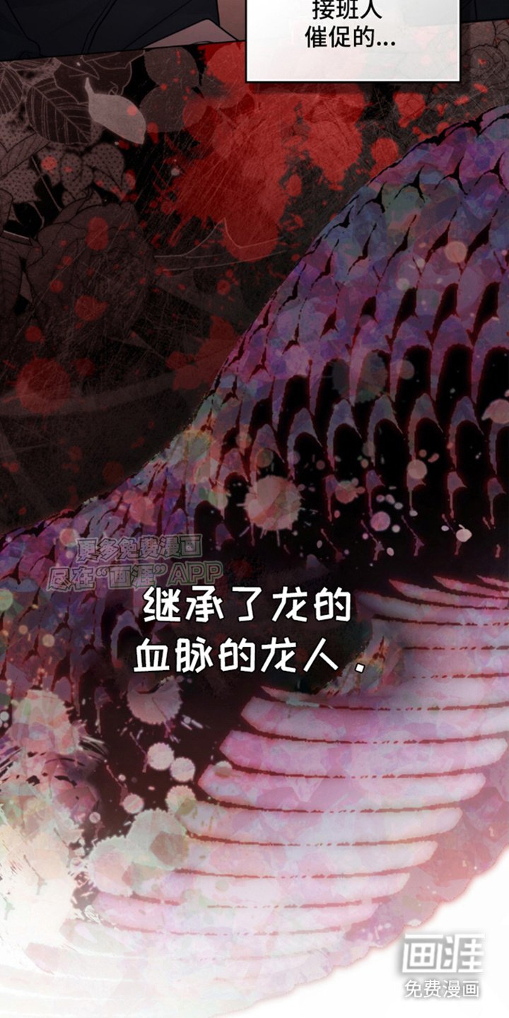 第7章：选择
