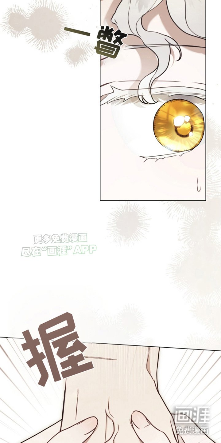 第9章：计划