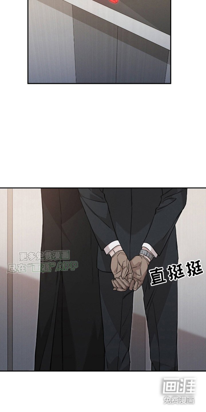 第10章：小黄鸡