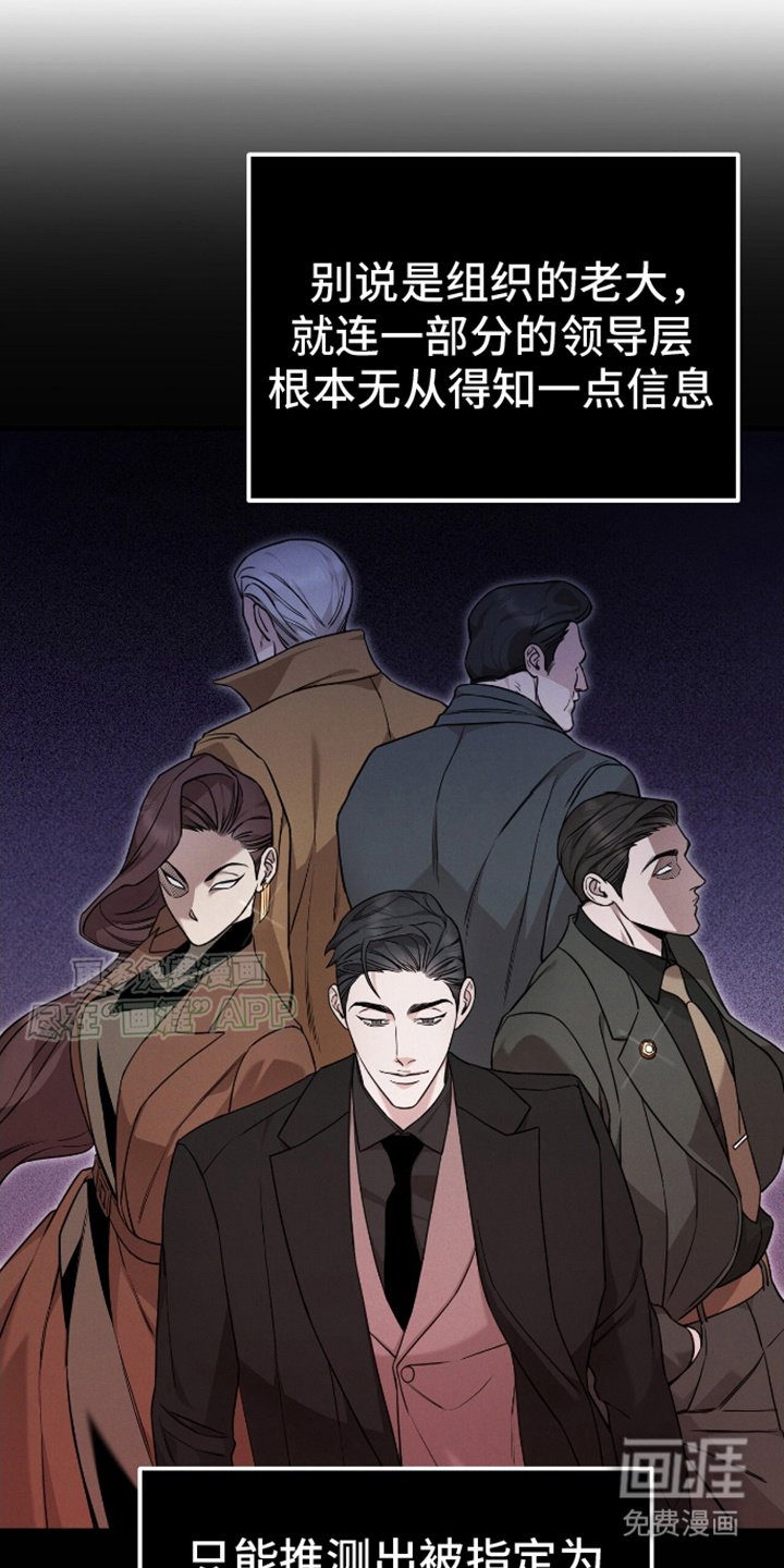 第11章：强大的组织