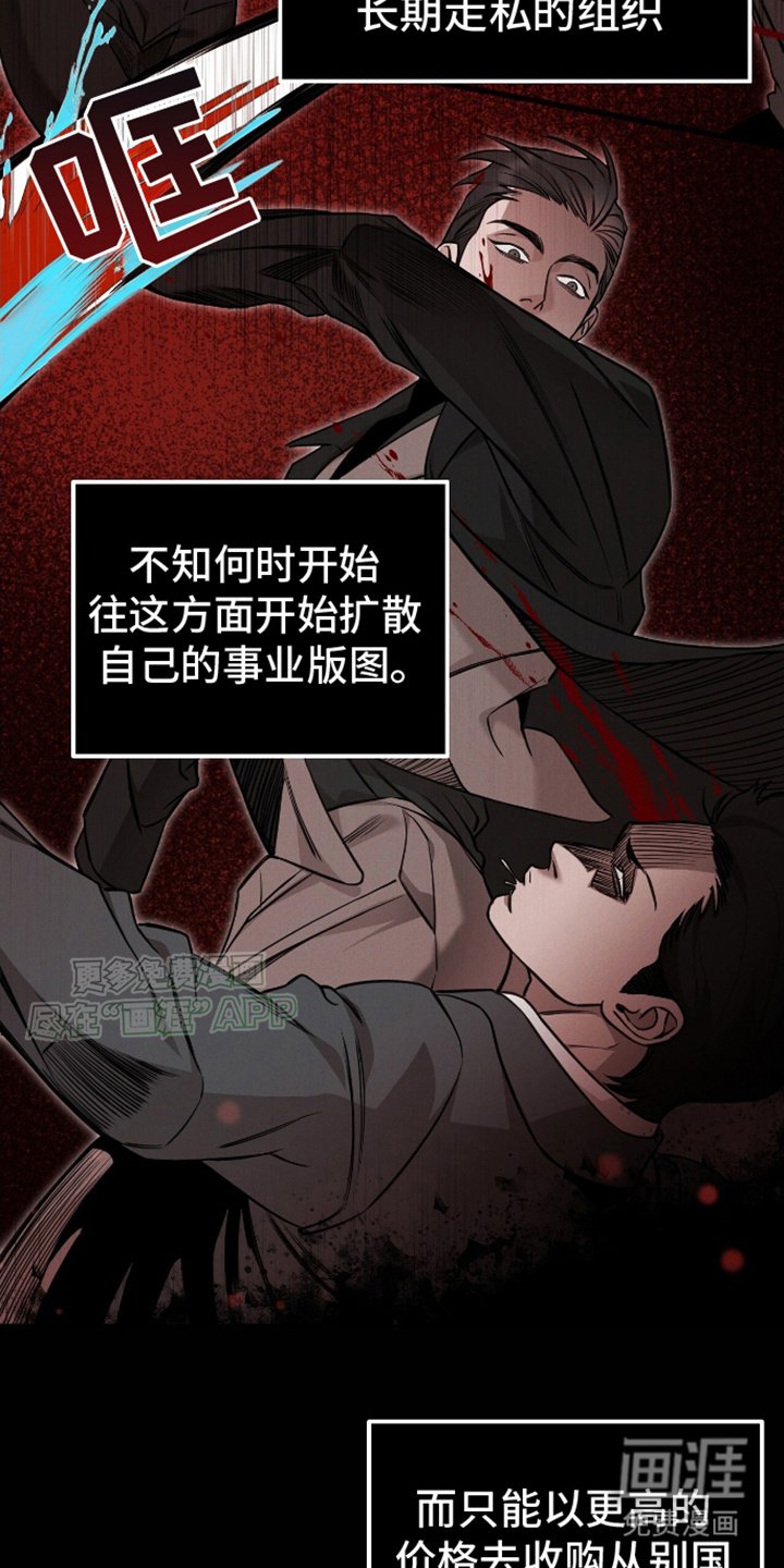 第11章：强大的组织