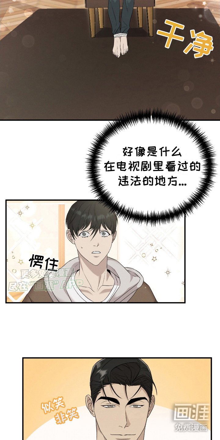 第13章：小猫