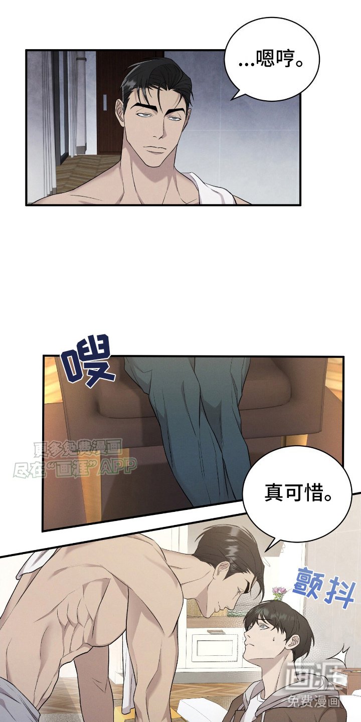 第13章：小猫