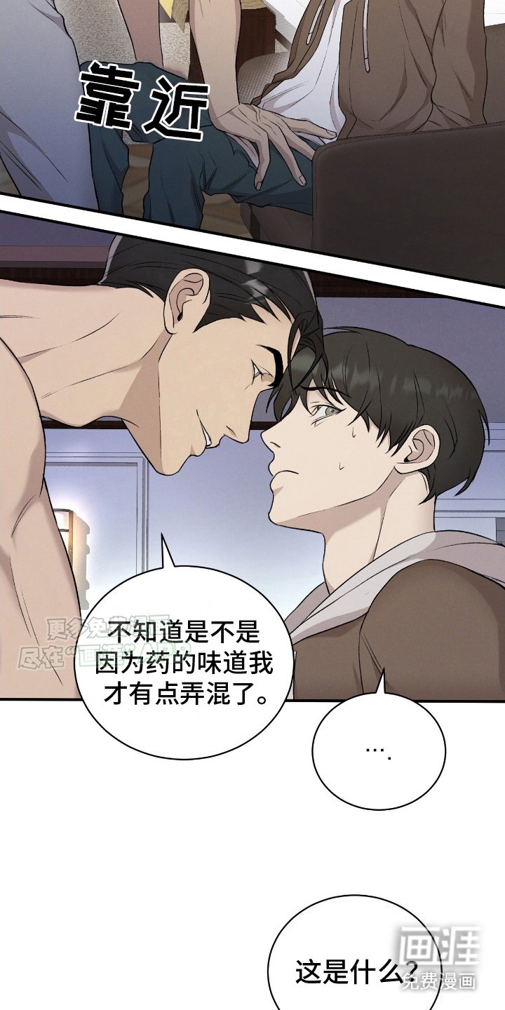 第13章：小猫