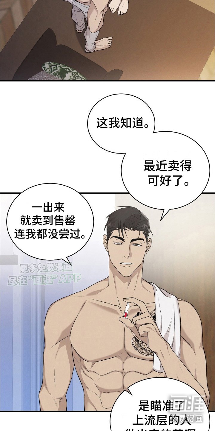 第13章：小猫