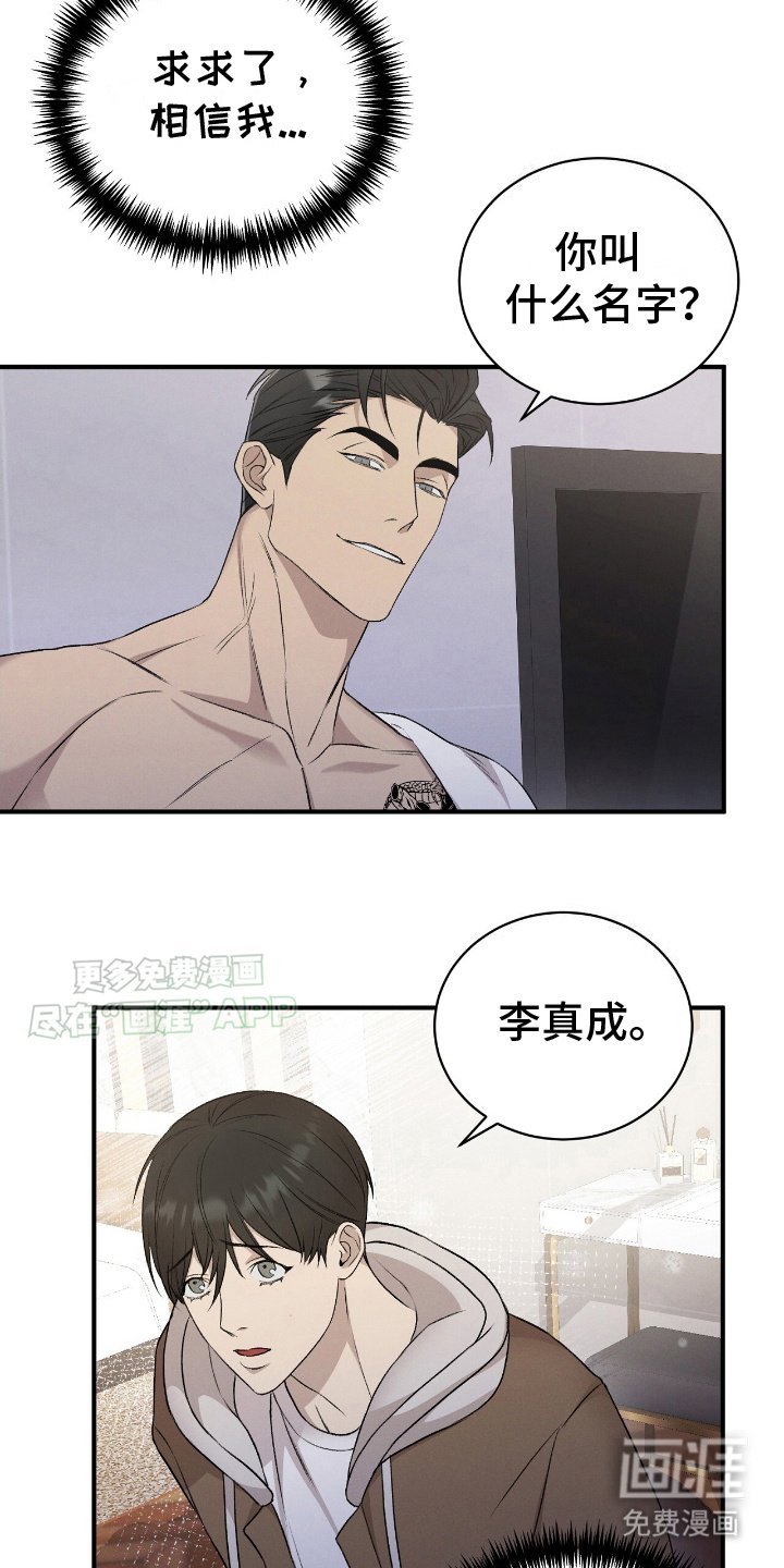 第13章：小猫
