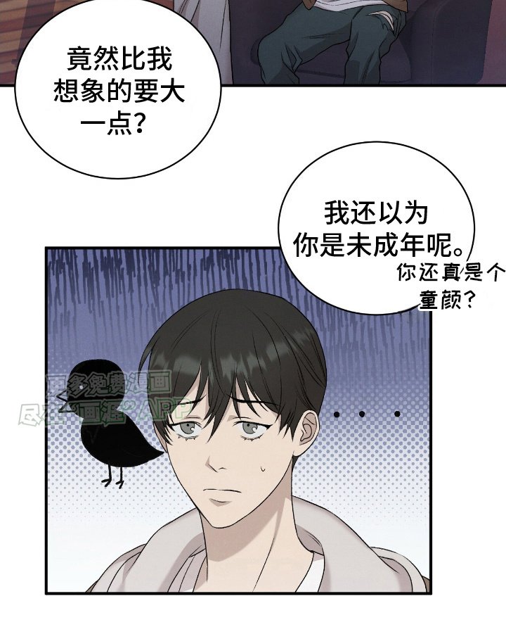 第13章：小猫