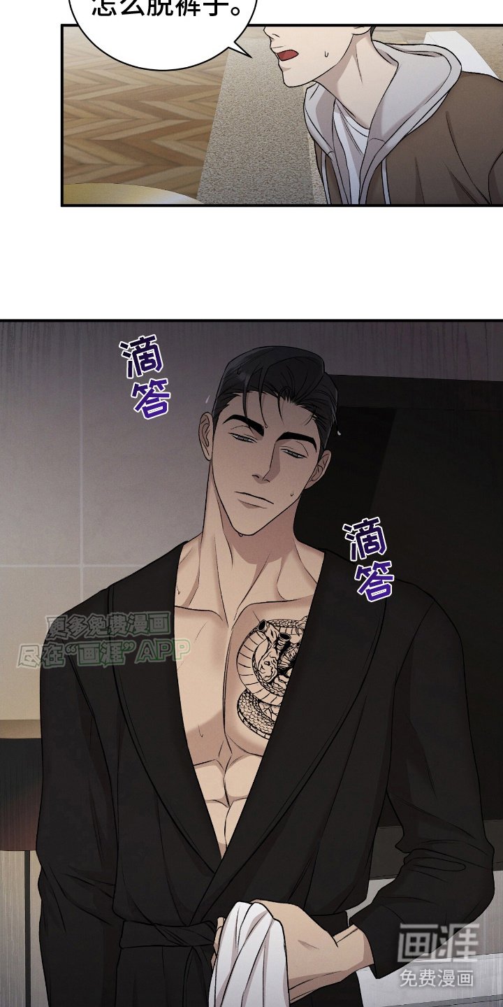 第15章：看着