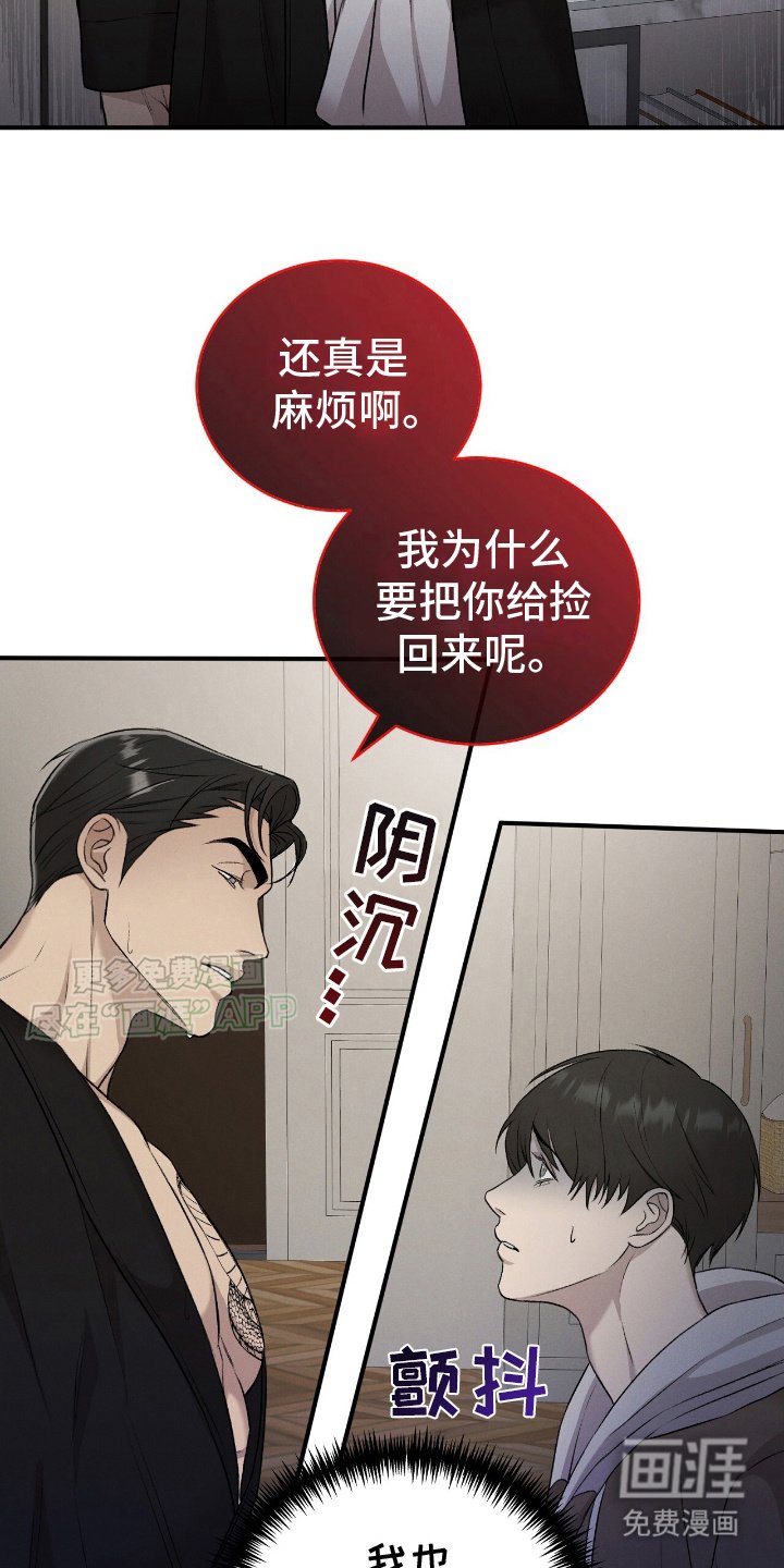 第15章：看着