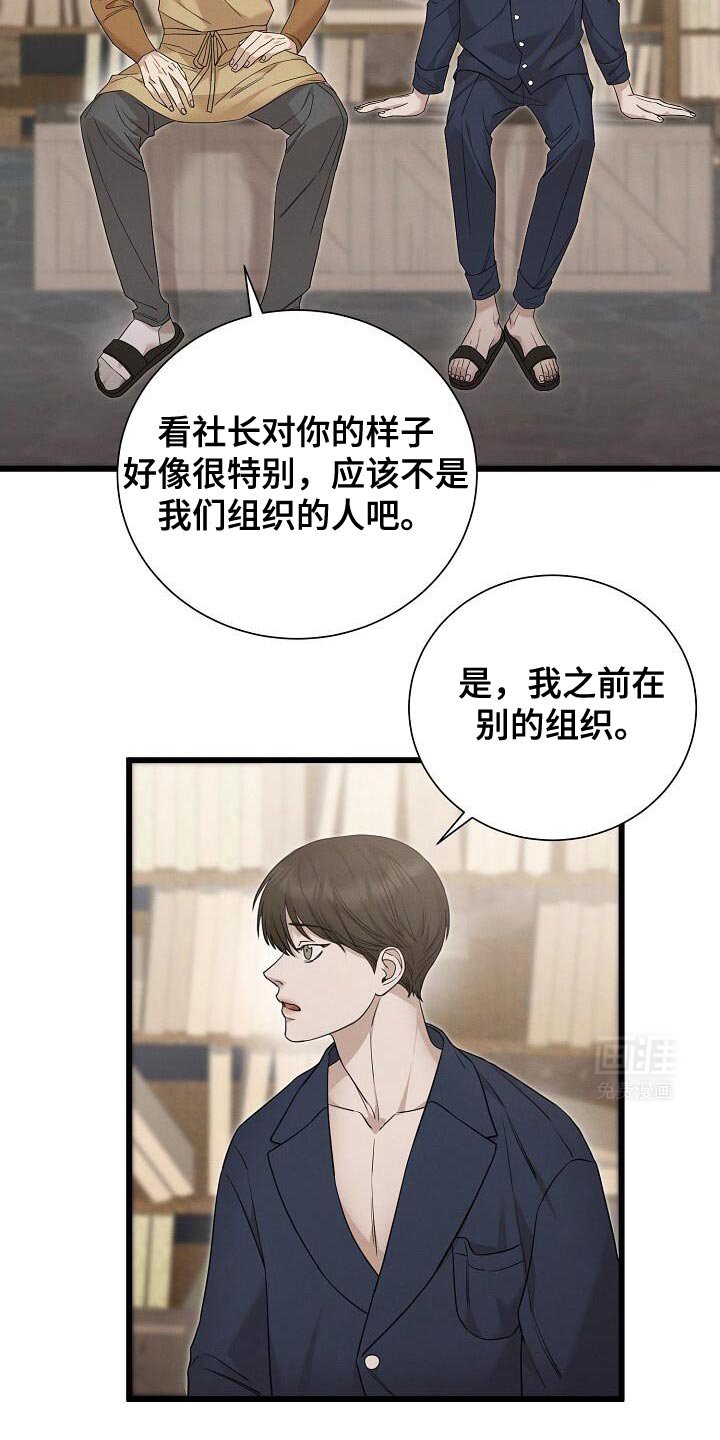 第22章：见识一下你的实力