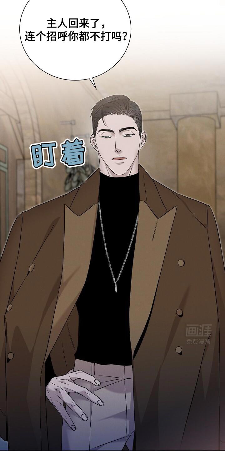 第23章：像个物品一样