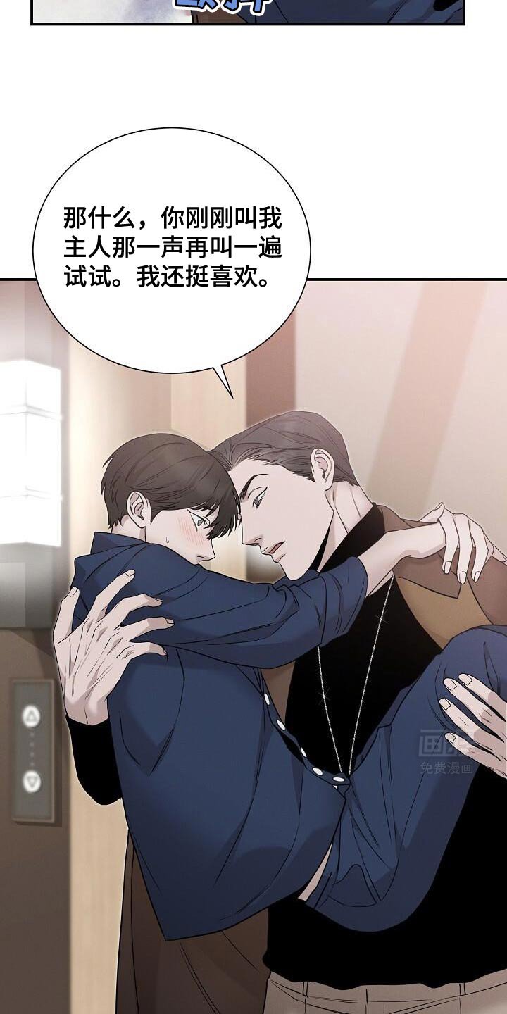 第26章：动物医院