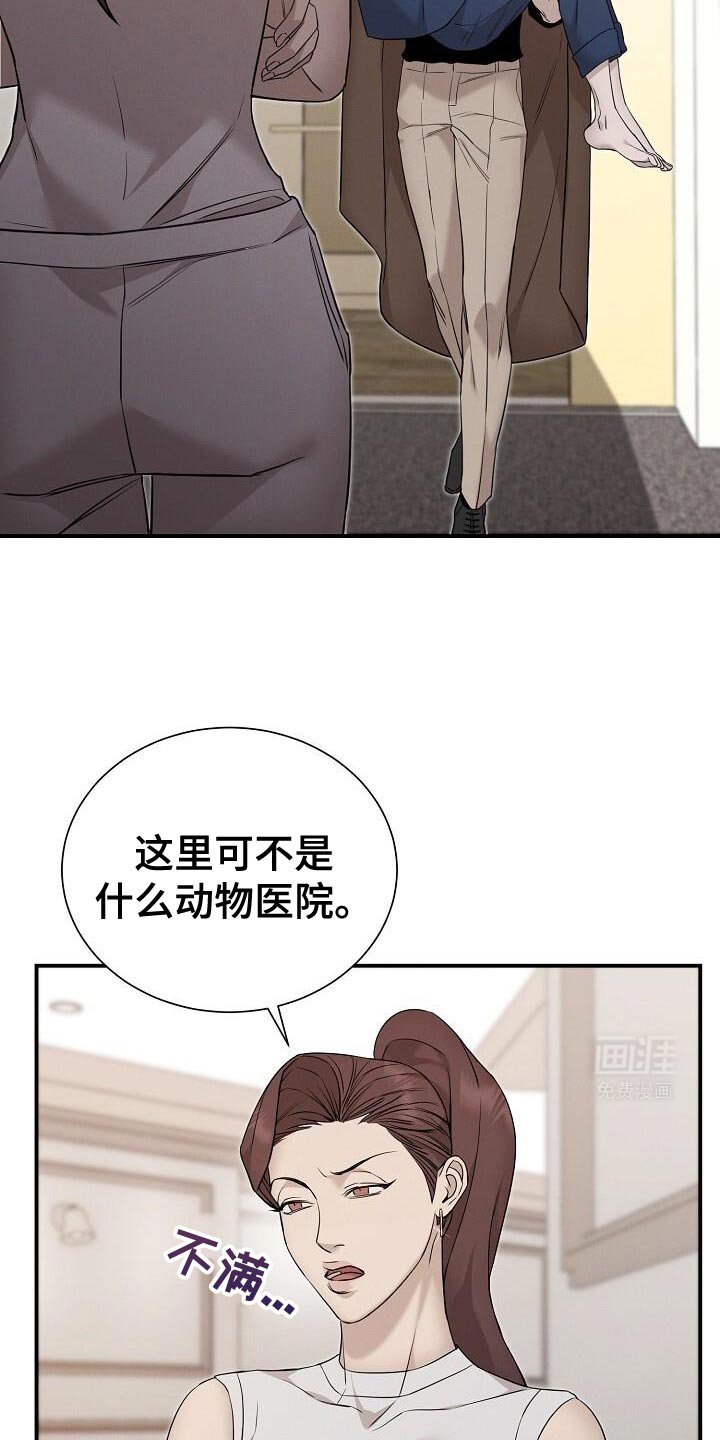 第26章：动物医院