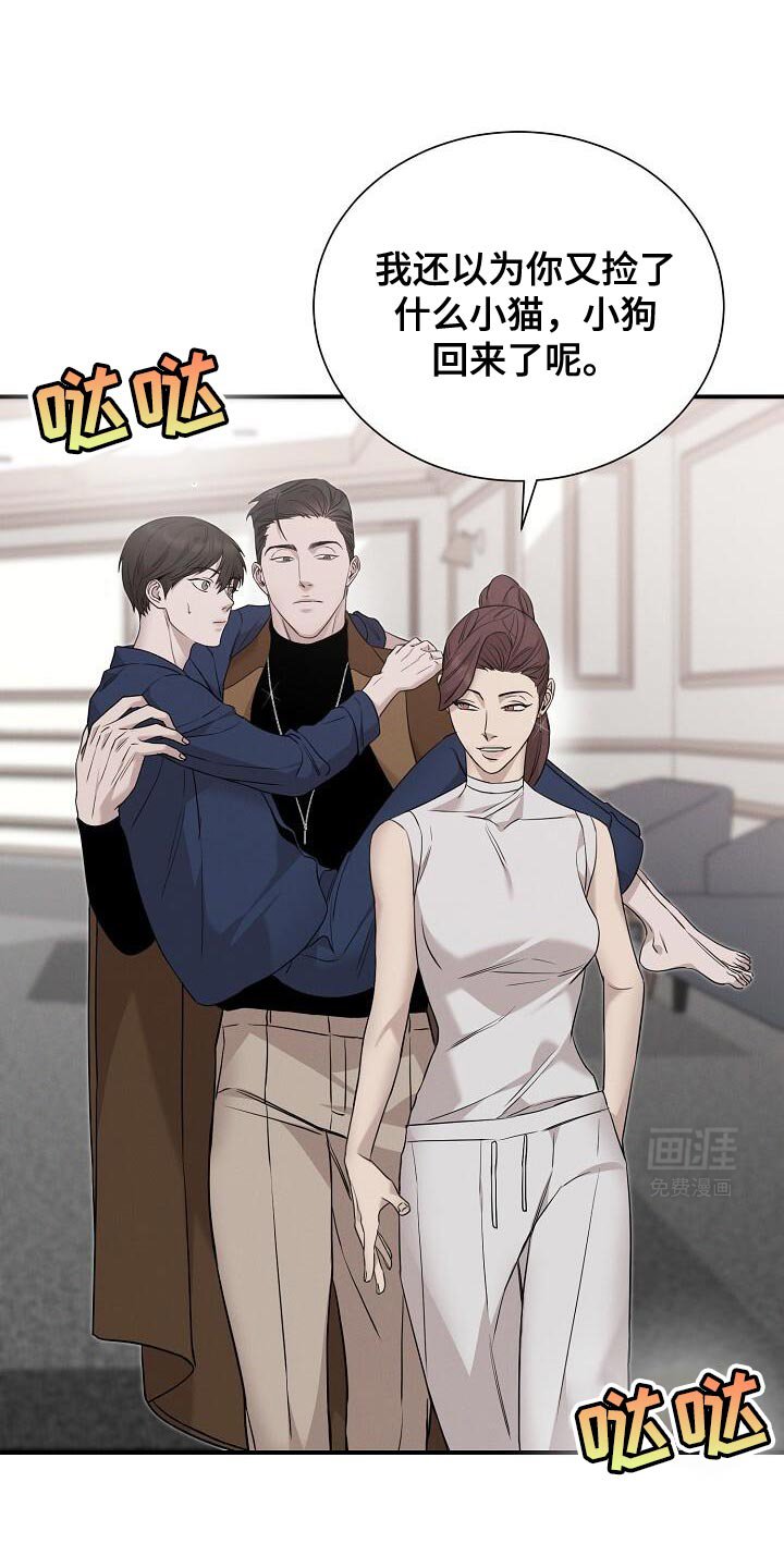 第26章：动物医院
