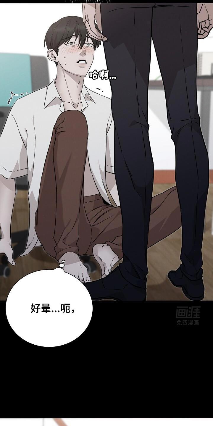 第29章：现在才要开始