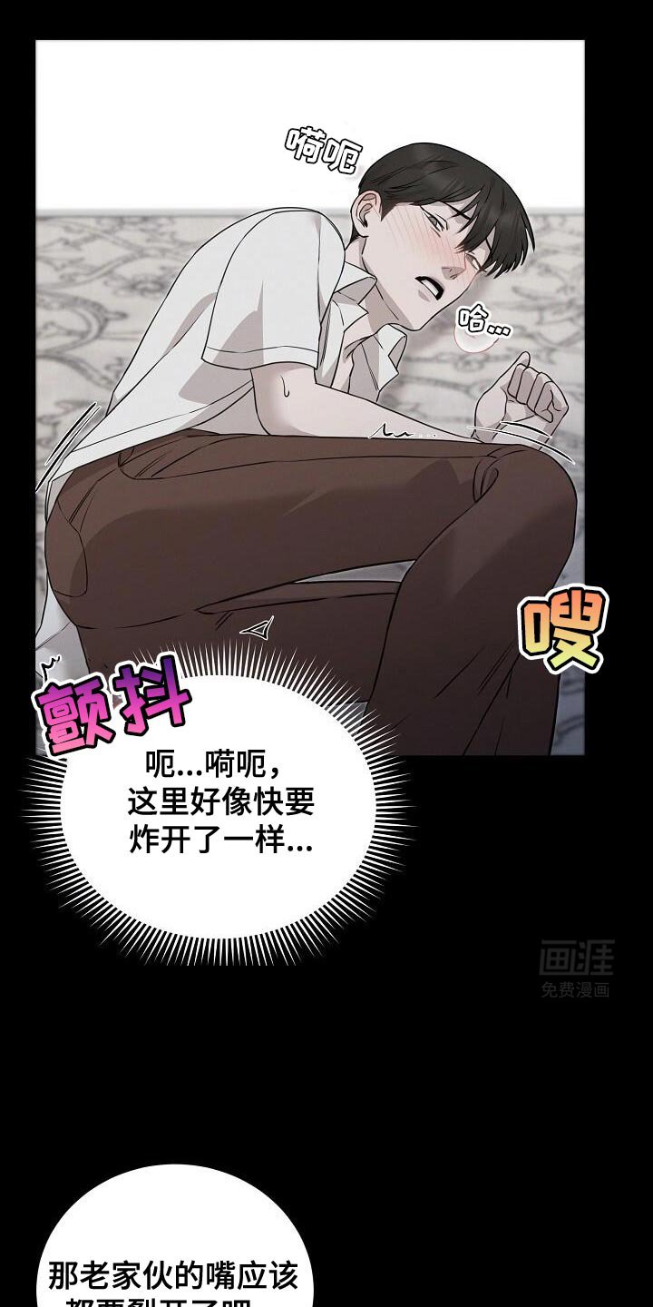 第29章：现在才要开始