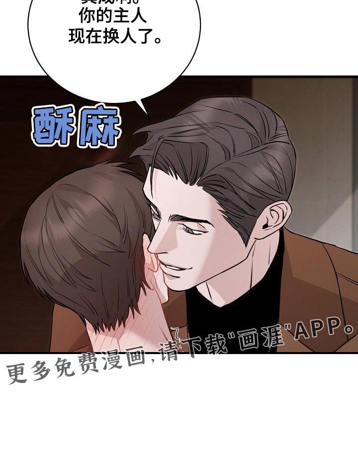 第31章：你的主人换人了
