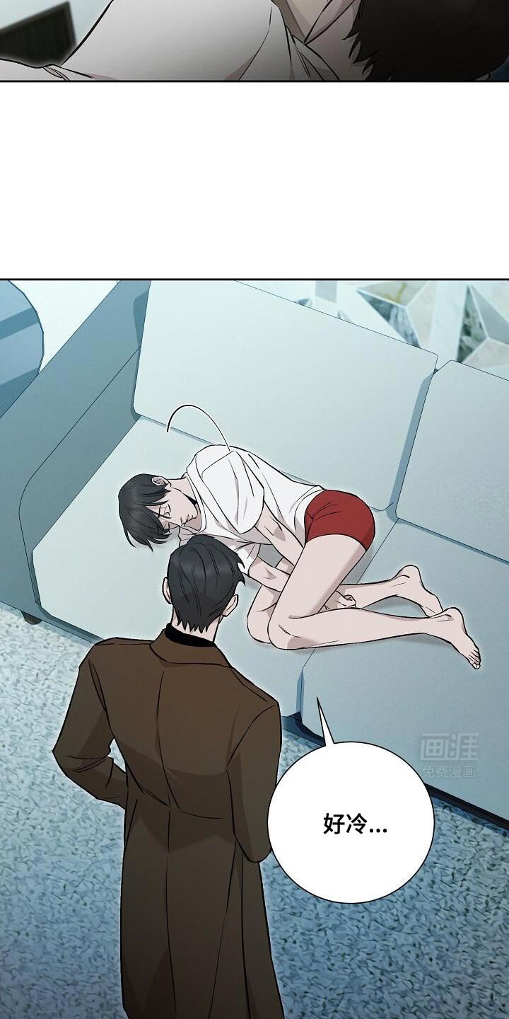 第35章：香味