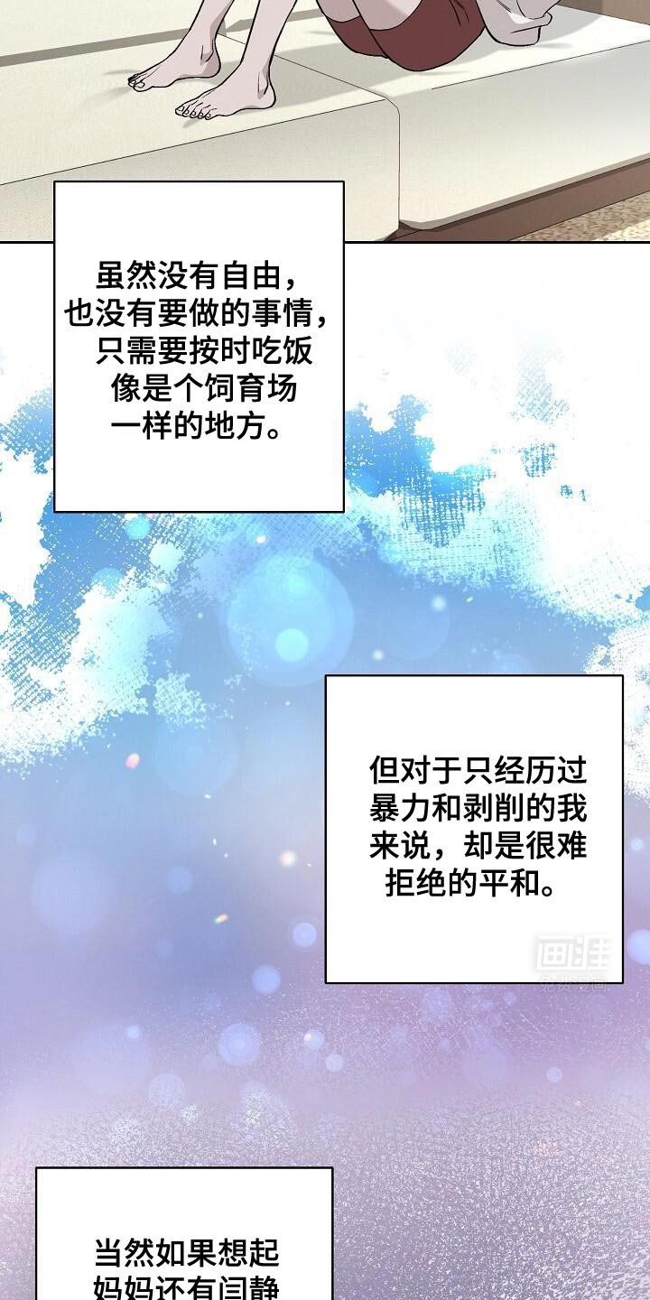 第38章：文字