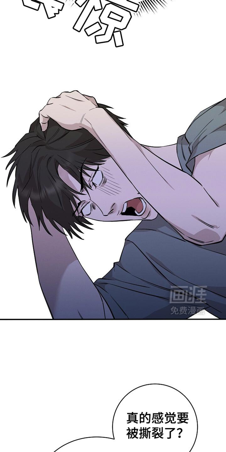 第50章：我不想吃饭