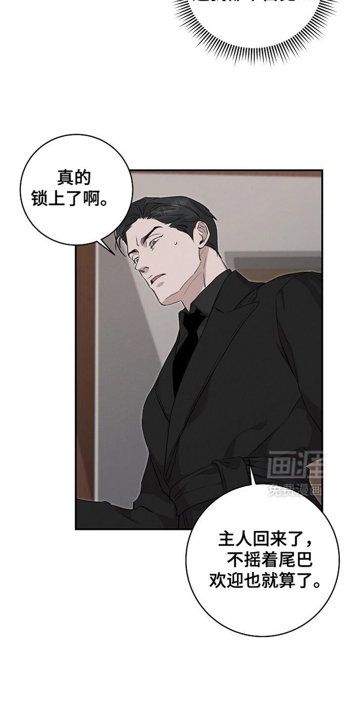 第53章：保持冷静