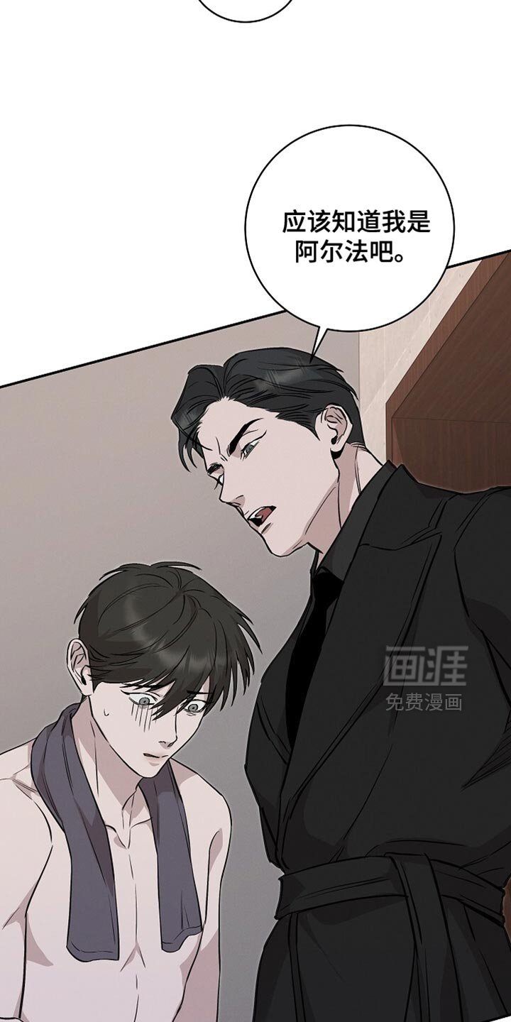 第53章：保持冷静
