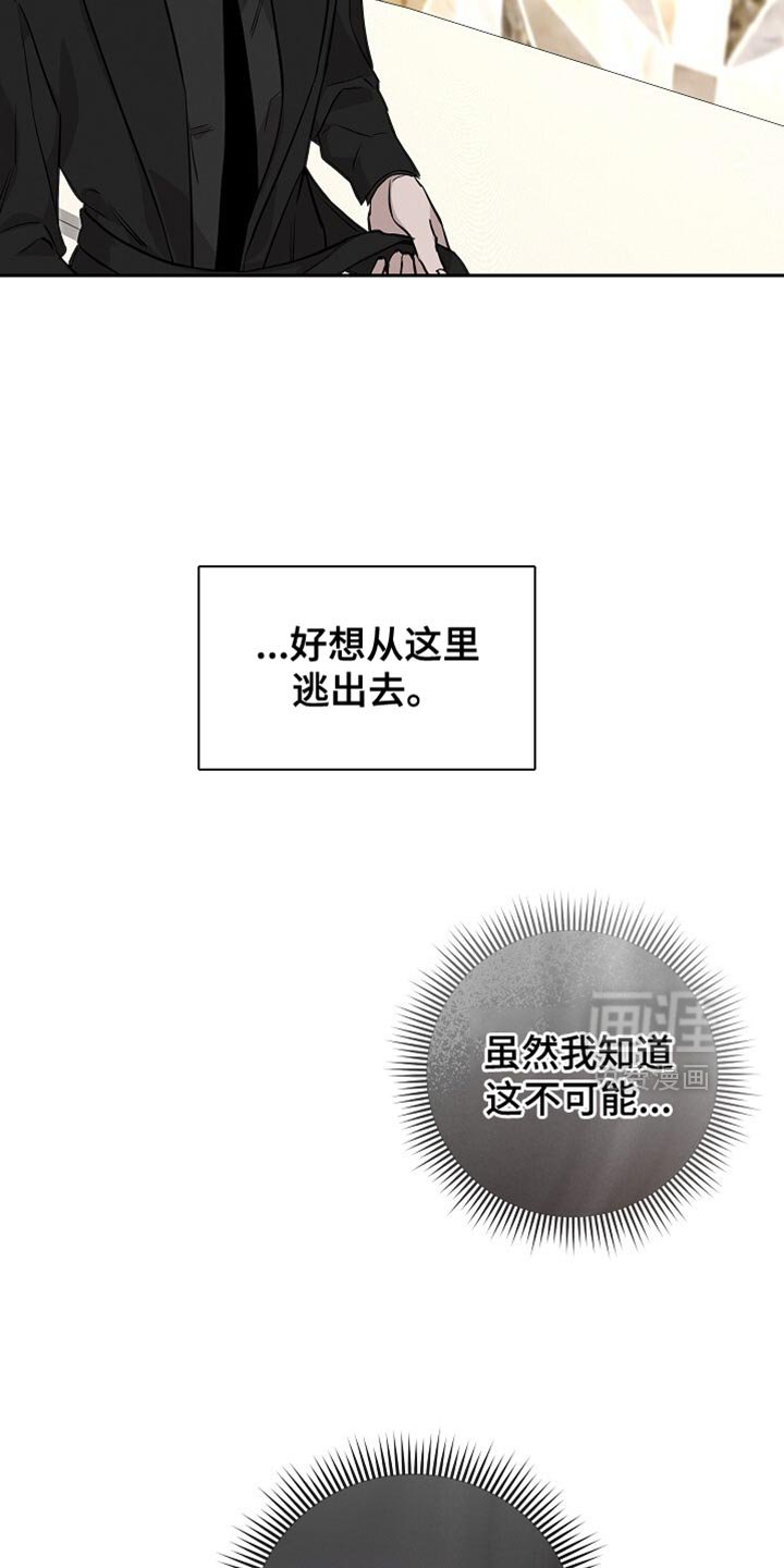 第54章：选择