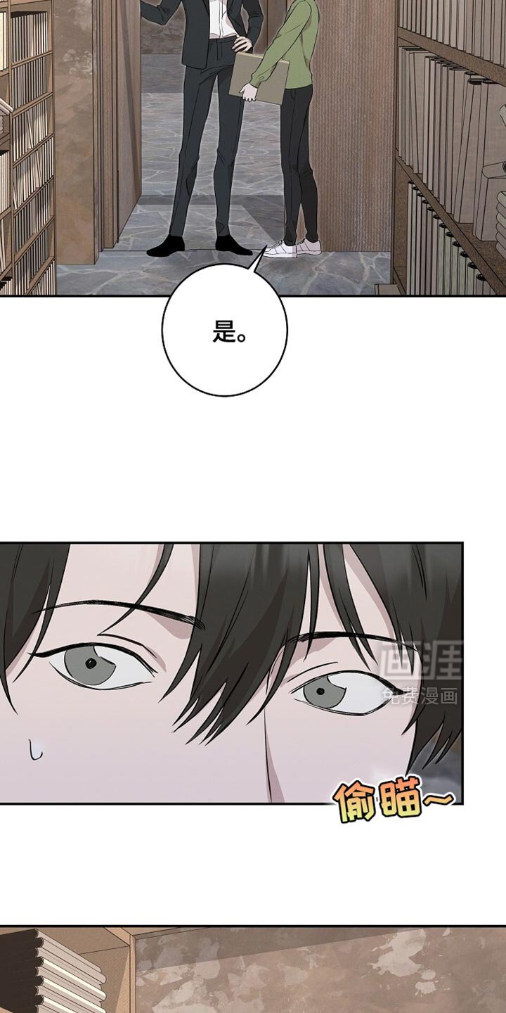 第60章：我已经选好了