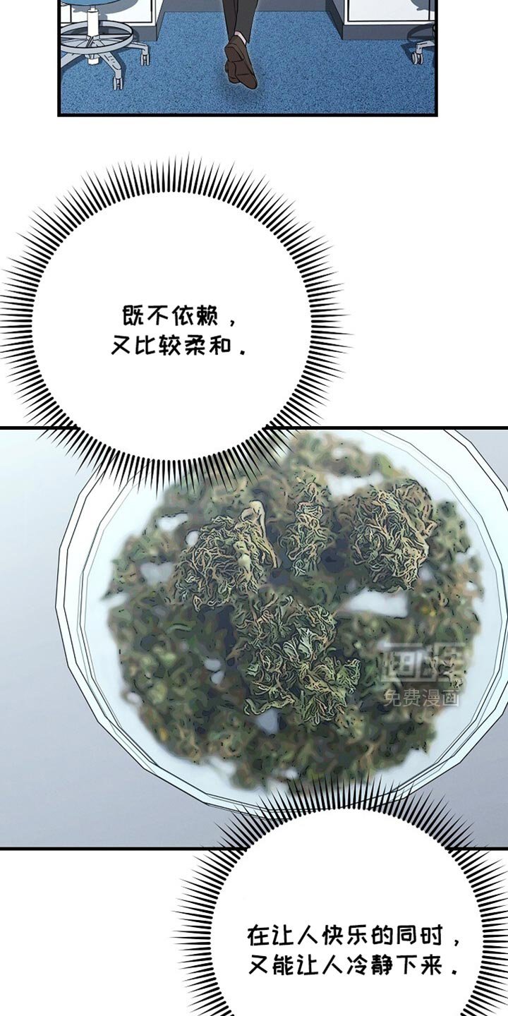 第66章：最后一周
