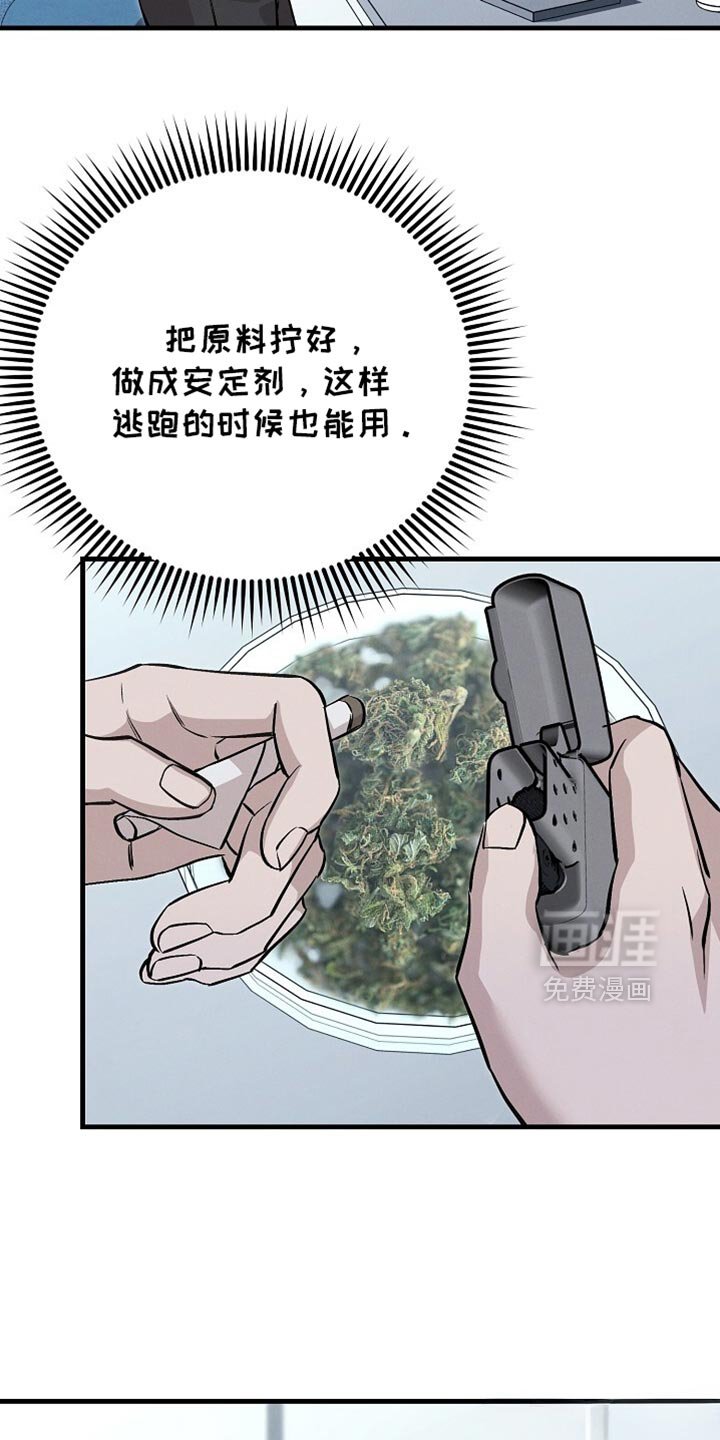 第66章：最后一周