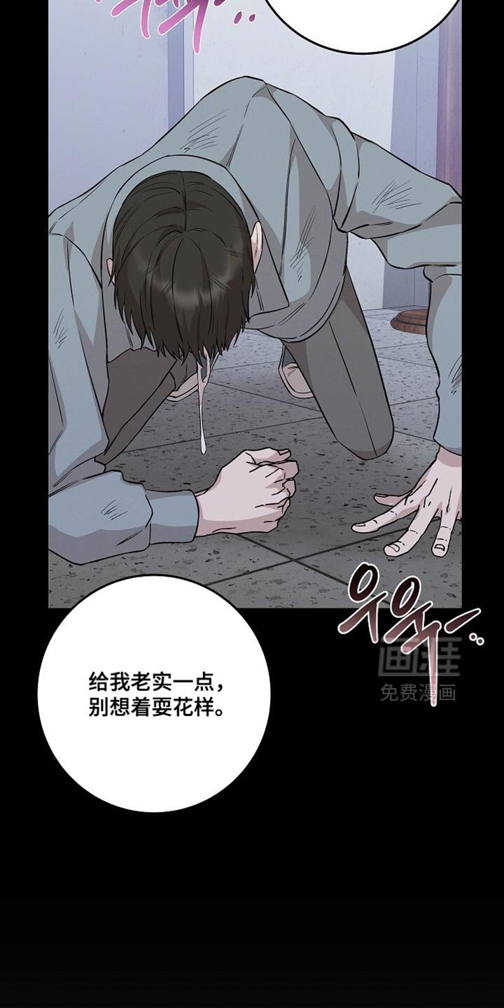 第79章：死也得死在这里