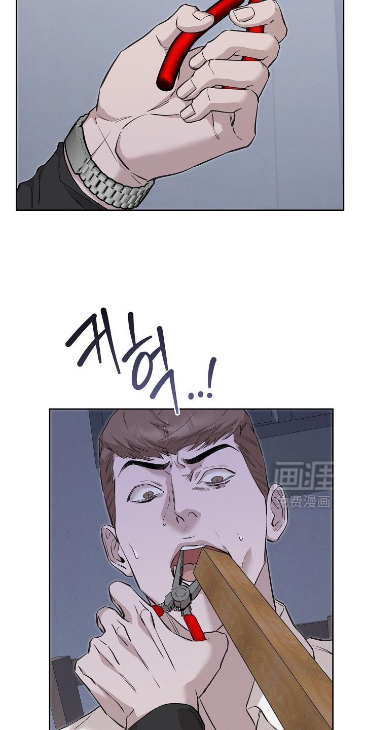 第87章：纪念品