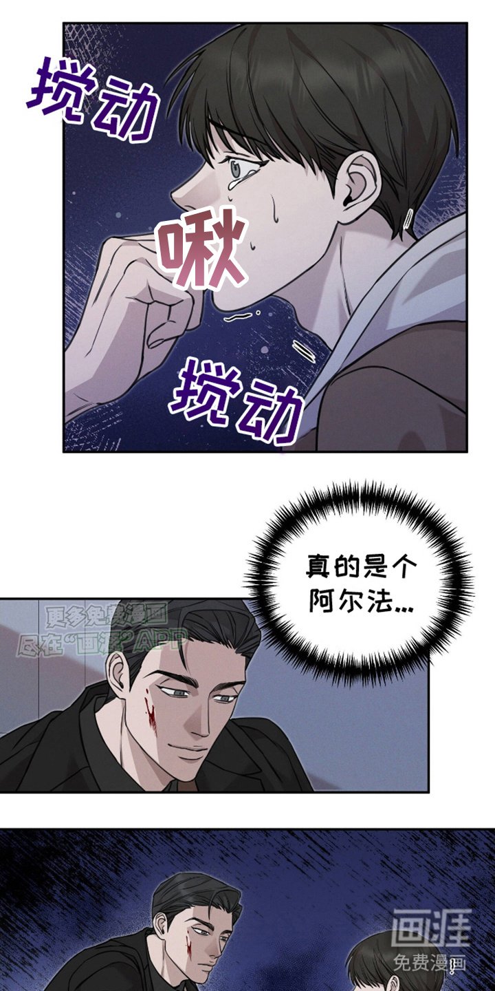 第9章：显性阿尔法