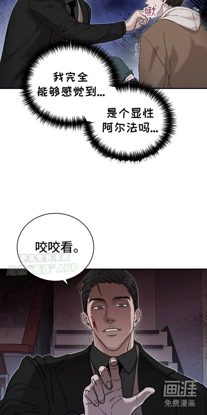 第9章：显性阿尔法