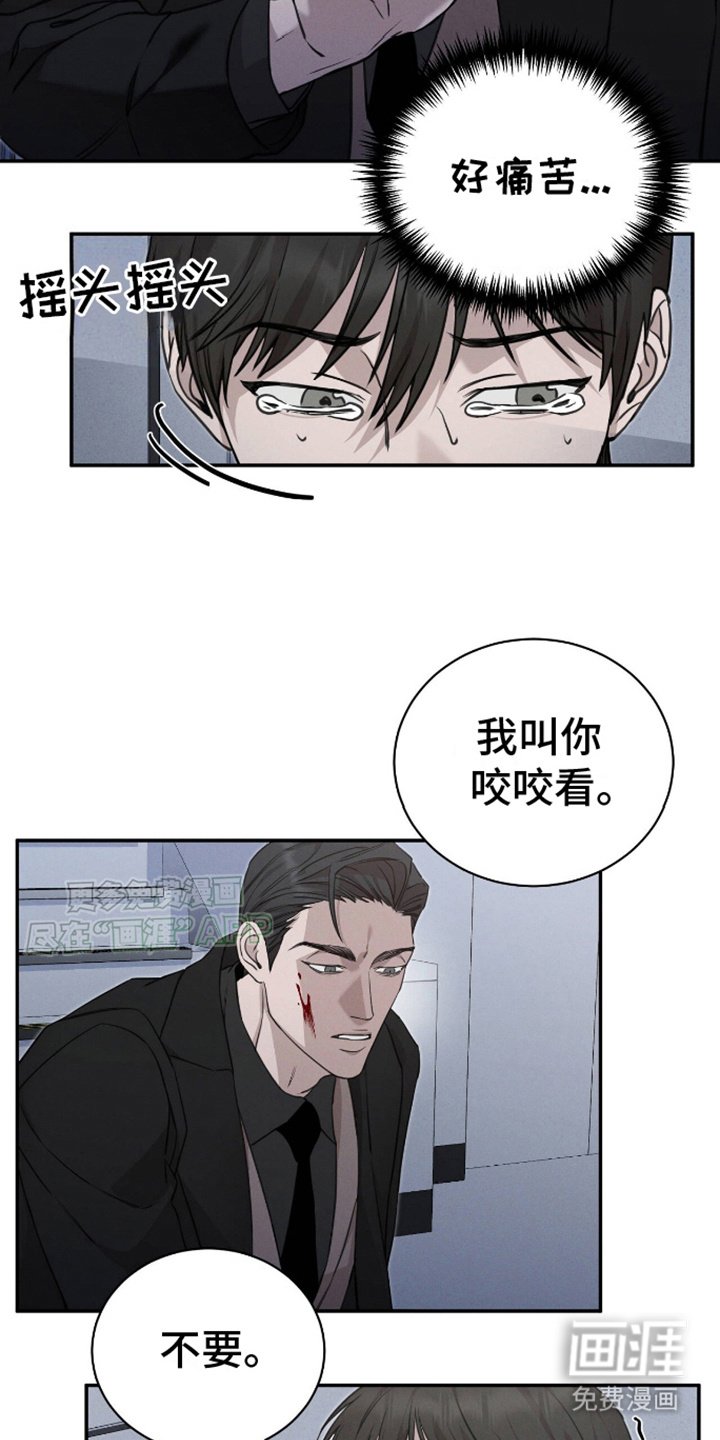 第9章：显性阿尔法