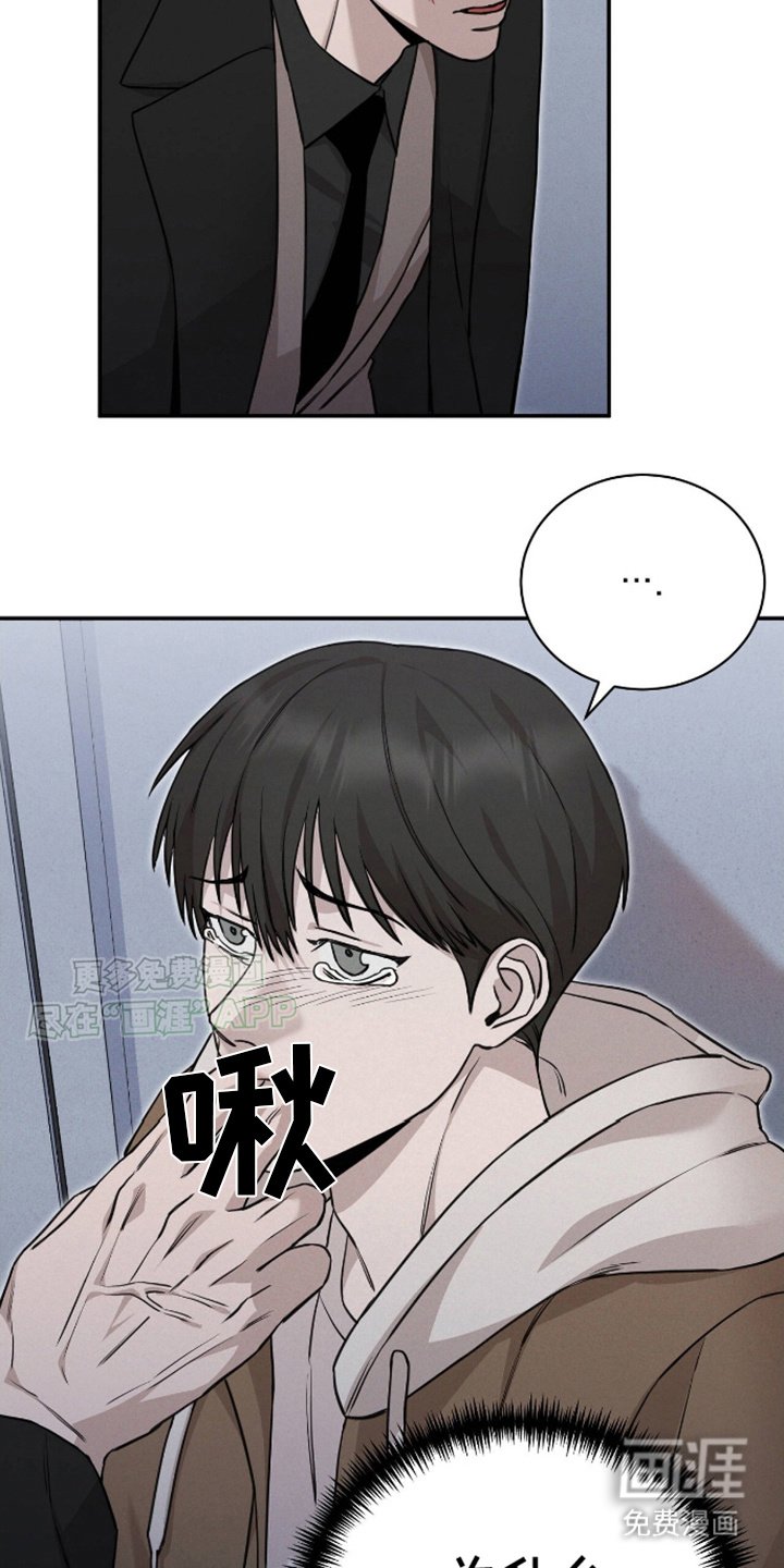 第9章：显性阿尔法