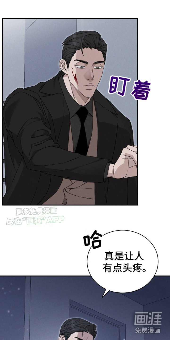 第9章：显性阿尔法