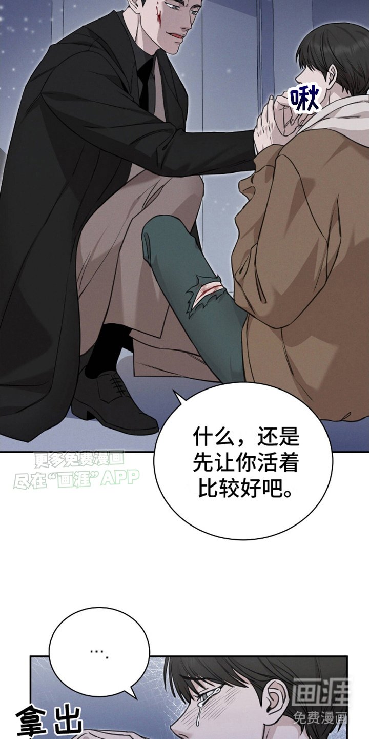 第9章：显性阿尔法