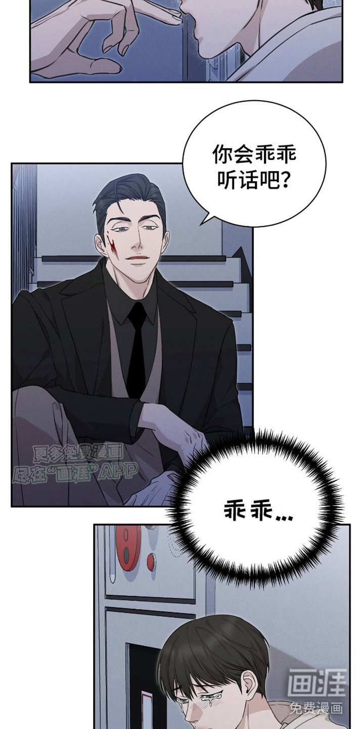 第9章：显性阿尔法