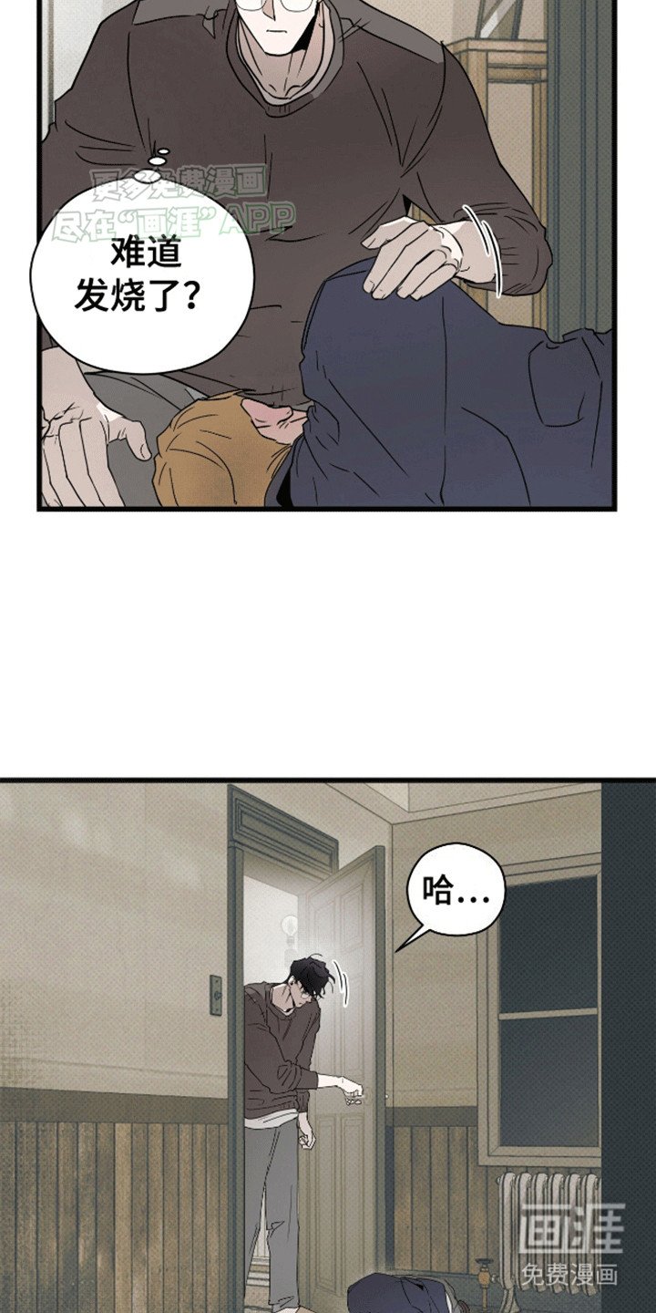 第12章：心软