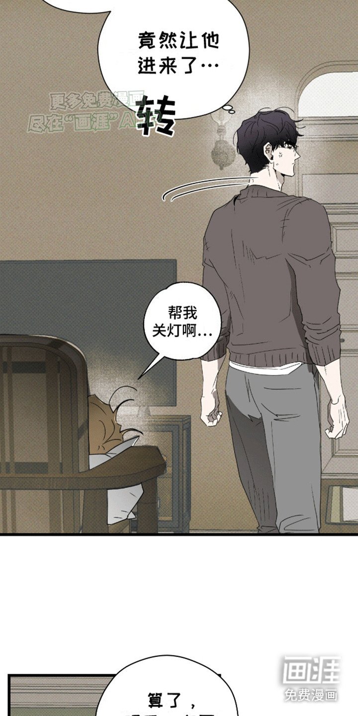 第13章：照顾