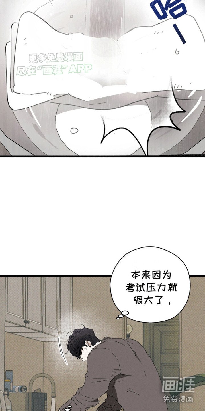 第13章：照顾