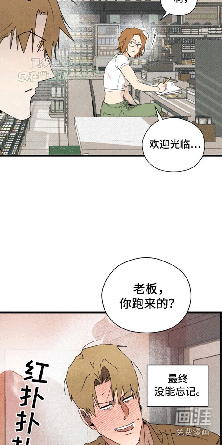第18章：外援