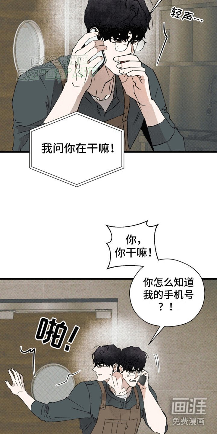 第19章：看你表现
