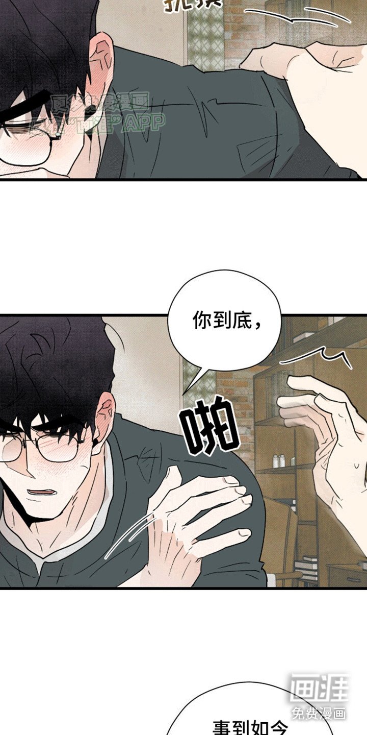 第21章：追忆