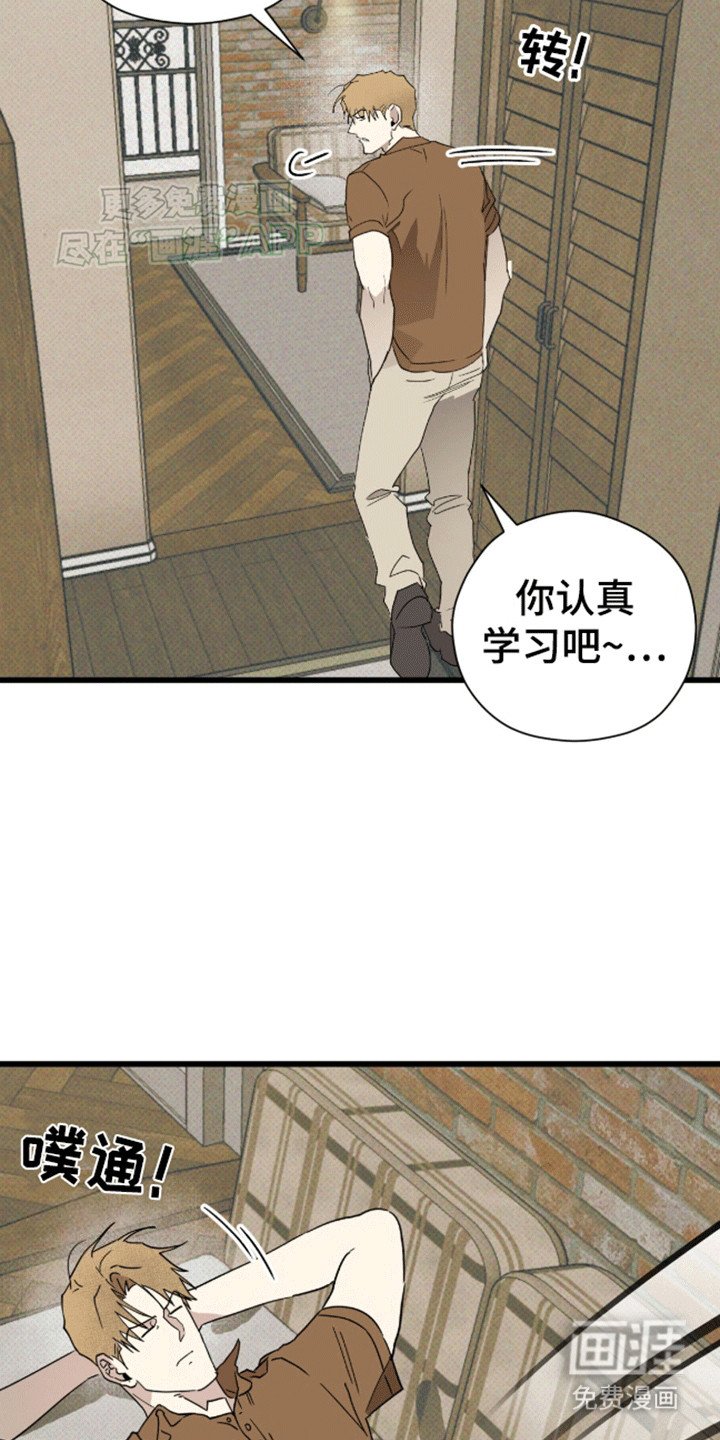 第23章：收留