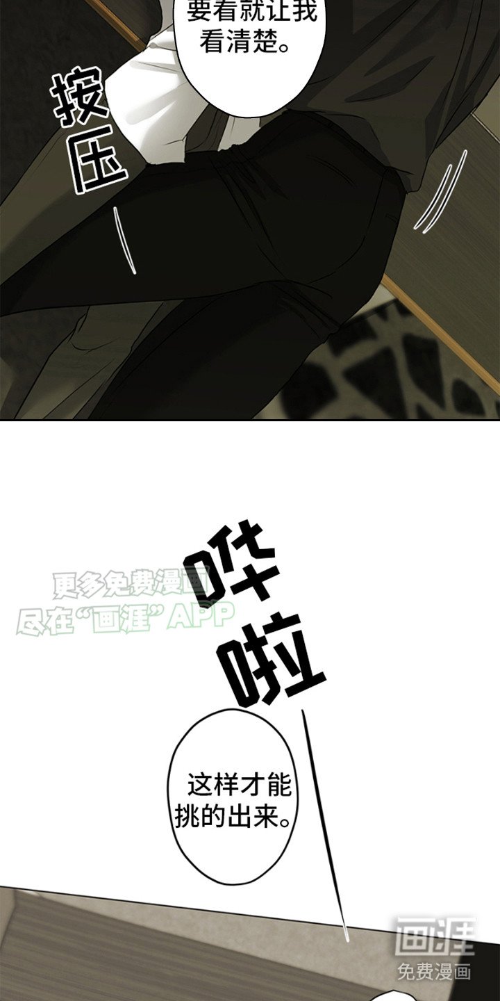 第3章：看清楚
