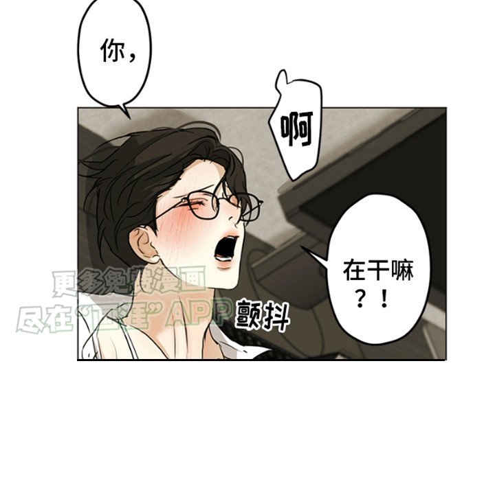 第3章：看清楚