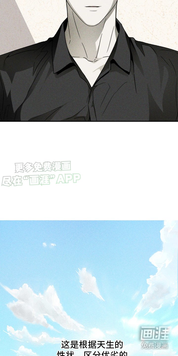 第1章：特征转变